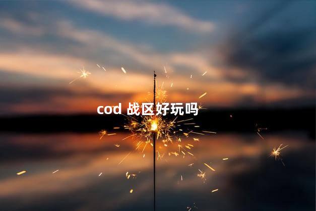 cod 战区好玩吗