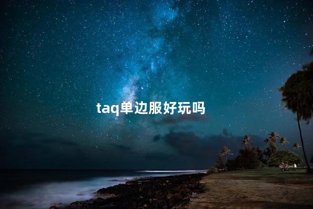 taq单边服好玩吗