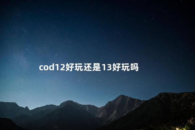 cod12好玩还是13好玩吗