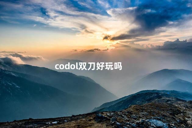 codol双刀好玩吗