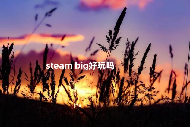 steam big好玩吗