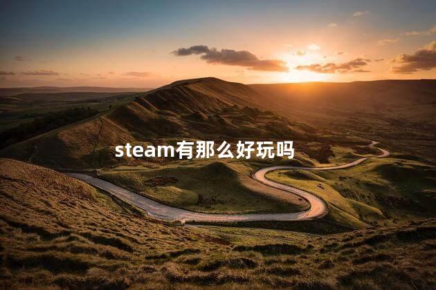 steam有那么好玩吗