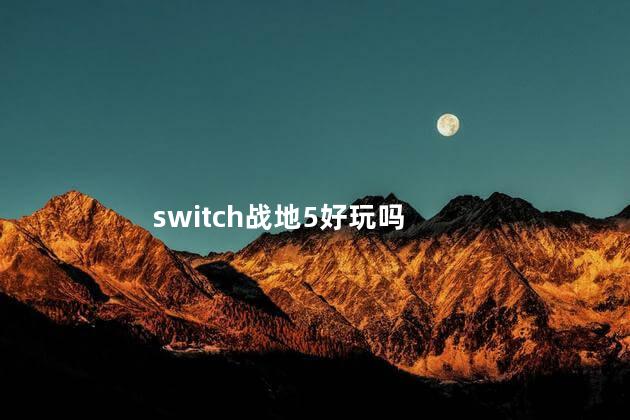 switch战地5好玩吗