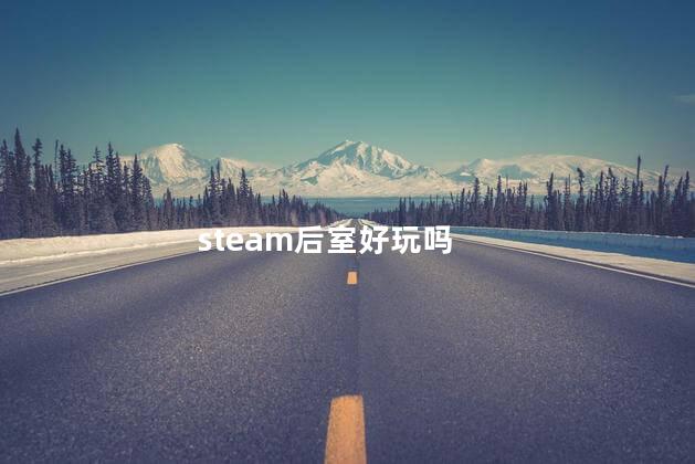 steam后室好玩吗