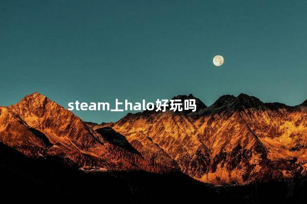 steam上halo好玩吗