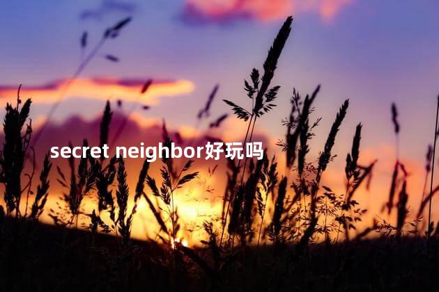 secret neighbor好玩吗