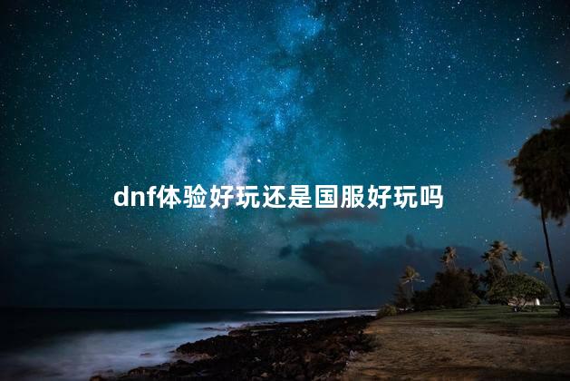 dnf体验好玩还是国服好玩吗