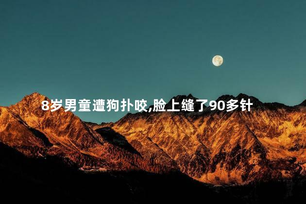 8岁男童遭狗扑咬，脸上缝了90多针