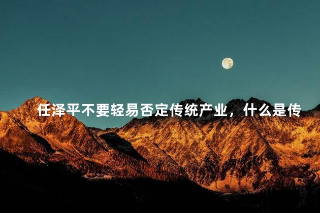 任泽平不要轻易否定传统产业，什么是传统产业